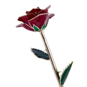 Real Red Rose Dipped in 24k Gold w/Glossy Lacquer Finish